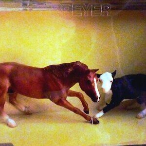 Little Lena breyer(out of box)